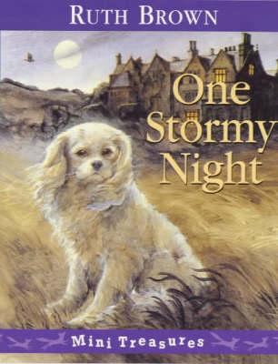 One Stormy Night 0099407817 Book Cover