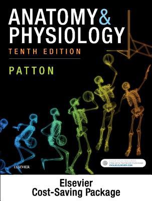 Anatomy & Physiology - Binder-Ready (Includes A... 0323528791 Book Cover