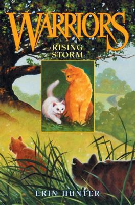 Rising Storm 0060000058 Book Cover