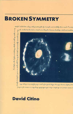 Broken Symmetry 0814207316 Book Cover