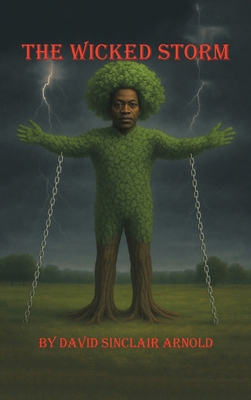 The Wicked Storm B0FRNDJYSL Book Cover