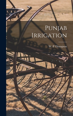 Punjab Irrigation 1013851633 Book Cover