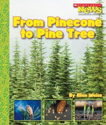 From Pinecone to Pine Tree 053118790X Book Cover