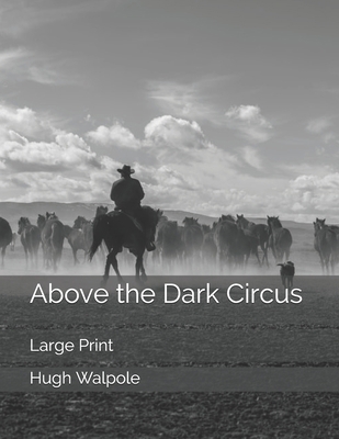 Above the Dark Circus: Large Print 170041769X Book Cover