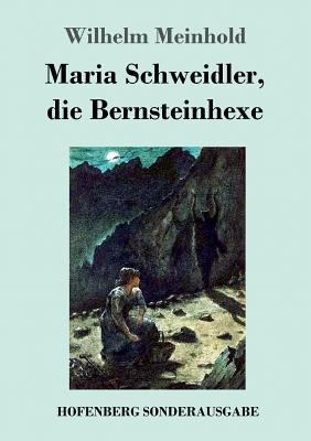 Maria Schweidler, die Bernsteinhexe [German] 3743720124 Book Cover