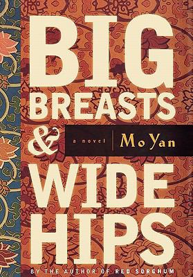 Big Breasts & Wide Hips 1611453704 Book Cover