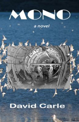 Mono: a novel 0615411185 Book Cover