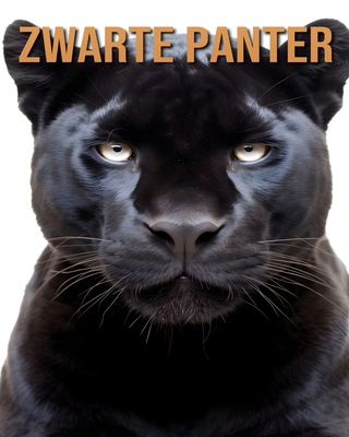 Zwarte Panter: Leer Over de Zwarte Panter en Ge... [Dutch] B0D385Z962 Book Cover