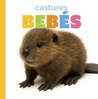Castores Bebés [Spanish] B0GHM7DSWH Book Cover