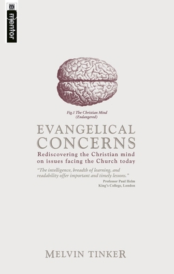 Evangelical Concerns: Rediscovering the Christi... 1857926757 Book Cover