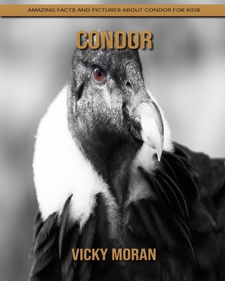 Paperback Condor: Amazing Facts and Pictures about Condor for Kids [Large Print] Book