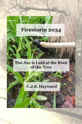 Firestorm 2034 1790126177 Book Cover