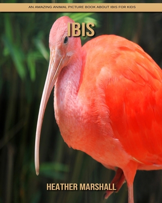 Paperback Ibis: An Amazing Animal Picture Book about Ibis for Kids [Large Print] Book