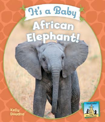 It's a Baby African Elephant! 1604531495 Book Cover