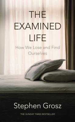 The Examined Life. Stephen Grosz 070118535X Book Cover