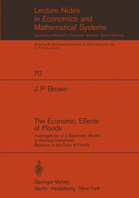 The Economic Effects of Floods: Investigations ... 3540059253 Book Cover