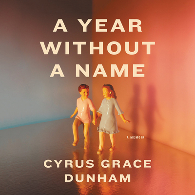 A Year Without a Name: A Memoir 1549154346 Book Cover