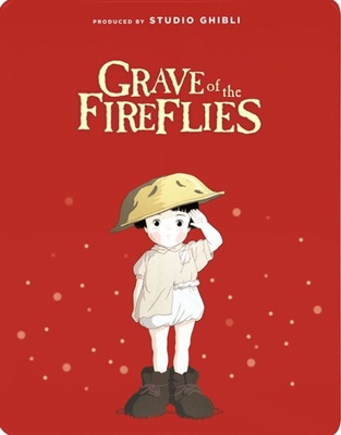 Grave Of The Fireflies            Book Cover
