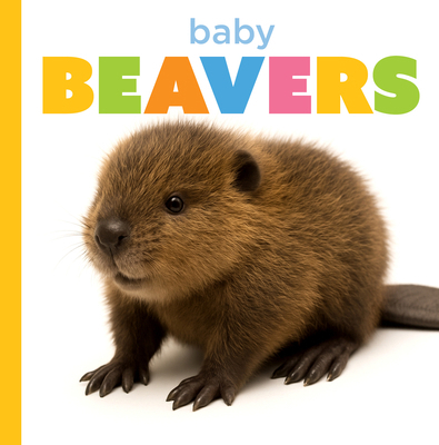 Baby Beavers B0GSS5WB5C Book Cover