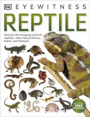 Reptile 0241297168 Book Cover