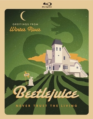 Beetlejuice            Book Cover