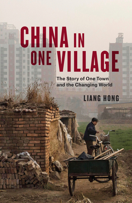 China in One Village: The Story of One Town and... 1839761776 Book Cover