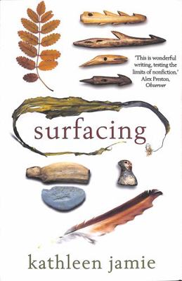 Surfacing 1908745827 Book Cover