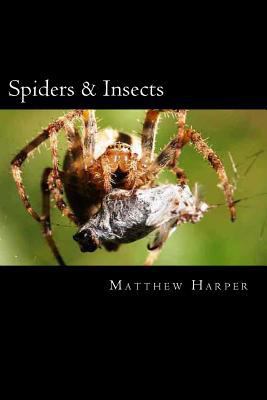 Spiders & Insects: Two Fascinating Books Combin... 1500495891 Book Cover