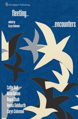 Fleeting Encounters 1917908024 Book Cover