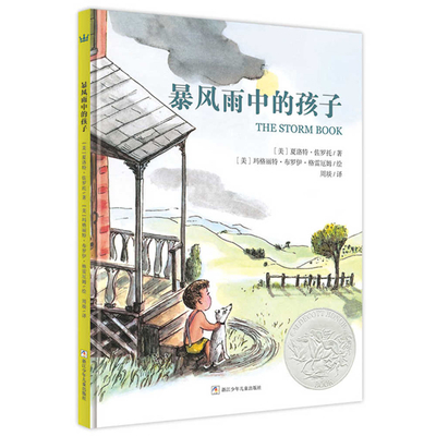 The Storm Book [Chinese] 7534292980 Book Cover