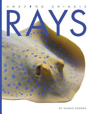 Rays 1608188825 Book Cover