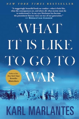 What It Is Like to Go to War 0802145922 Book Cover