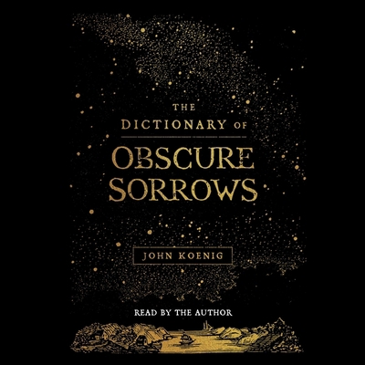 The Dictionary of Obscure Sorrows 1797135848 Book Cover