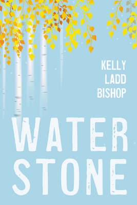 Water Stone B0FW8T29L9 Book Cover