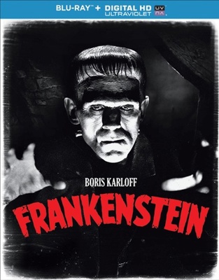 Frankenstein            Book Cover