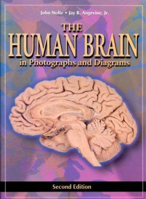 The Human Brain in Photographs and Diagrams 0323011268 Book Cover