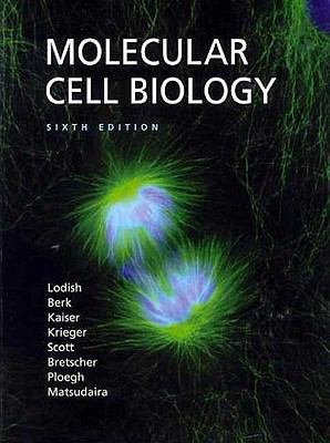 Molecular Cell Biology 0716776014 Book Cover