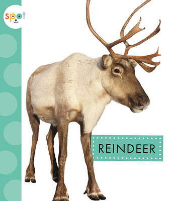 Reindeer 1681525267 Book Cover