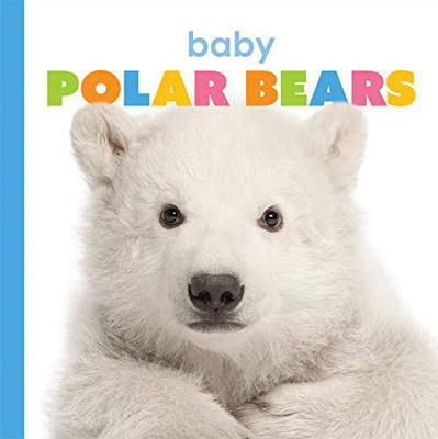 Baby Polar Bears 1640263535 Book Cover
