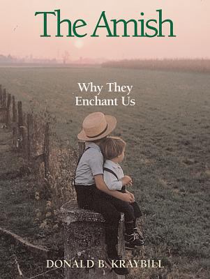 The Amish: Why They Enchant Us 0836192419 Book Cover