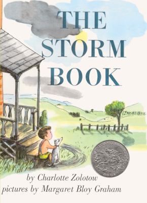 The Storm Book 0785713646 Book Cover