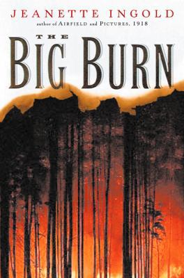 The Big Burn 0152164707 Book Cover
