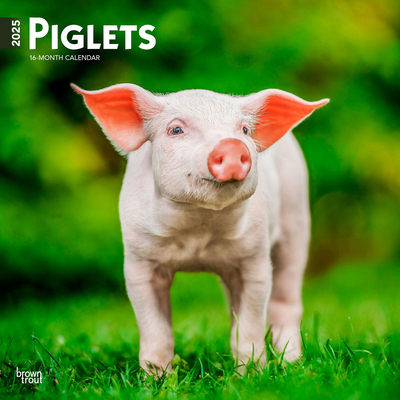 Piglets 2025 12 X 24 Inch Monthly Square Wall C... 1975477529 Book Cover