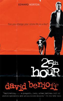 The 25th Hour 0340826541 Book Cover