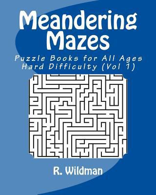 Meandering Mazes: Puzzle Books for All Ages - H... 1981685219 Book Cover