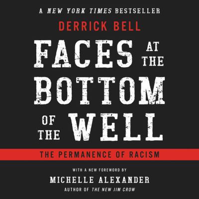 Faces at the Bottom of the Well: The Permanence... 1549176072 Book Cover