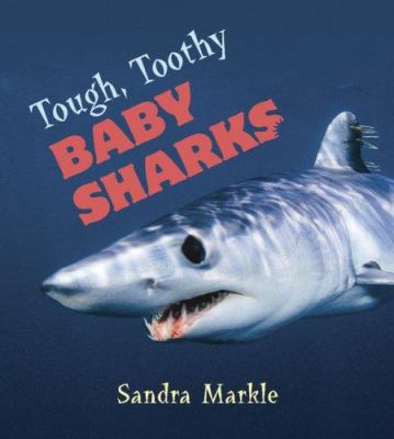 Tough, Toothy Baby Sharks 0802795943 Book Cover