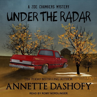 Under the Radar B08ZBFSGB3 Book Cover