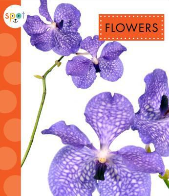 Flowers 1681512874 Book Cover