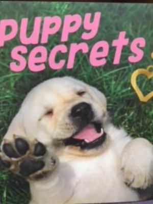 Puppy Secrets 1682972178 Book Cover